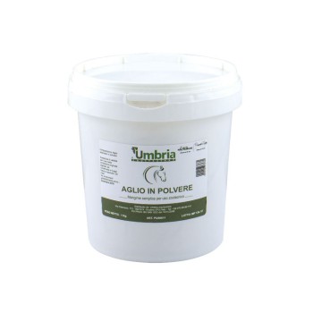 AMA GARLIC POWDER AGLIO IN POLVERE (1 KG)