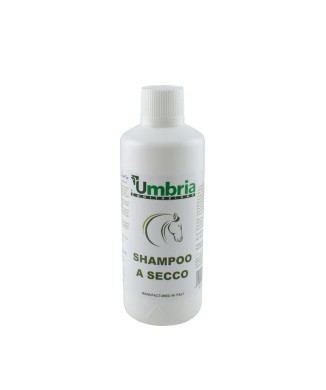 AMADRY SHAMPOO A SECCO (500 ML)