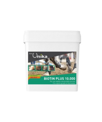 BIOTIN PLUS 10.000 (1 KG) LU0005