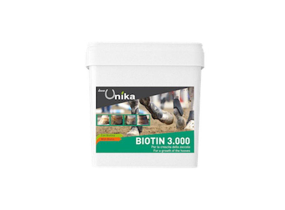 BIOTIN PRO 3.000 (2 KG)