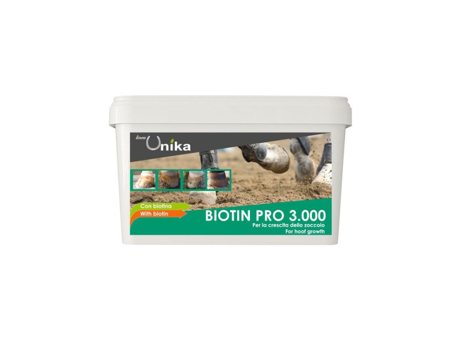 BIOTIN PRO 3000 (1 KG)