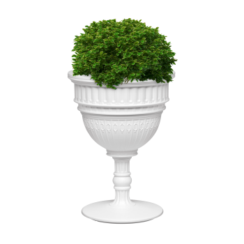 CAPITOL PLANTER E CHAMPAGNE COOLER 71003 QEEBOO