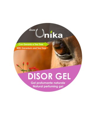 DISOR GEL (500 GR) LU0086