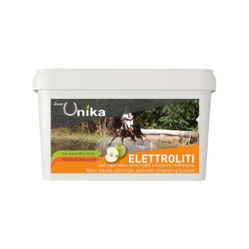 ENDURANCE ELECTROLYTE (1 KG) LU0020