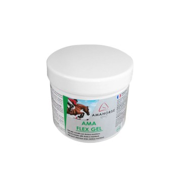 FLEX GEL (500 GR)