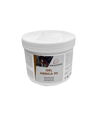 GEL ARNICA 90 (500G)