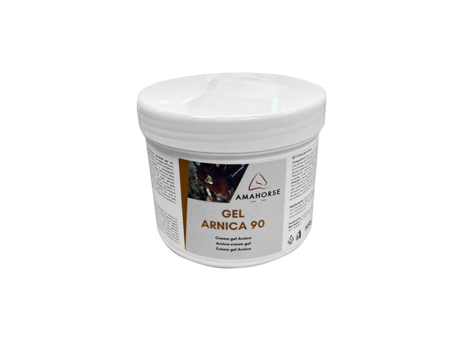 GEL ARNICA 90 (500G)