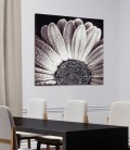 Quadro BLACK DAISY P4752 PINTDECOR