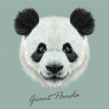 Quadro GIANT PANDA G3382 PINTDECOR