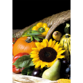 Quadro GIRASOLE G2752 PINTDECOR