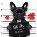 Quadro GUILTY G3358 PINTDECOR