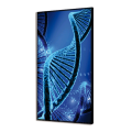 Quadro LUMINOSO DNA GL3488 PINTDECOR