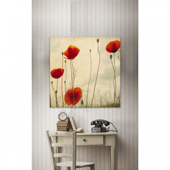 Quadro PAPAVERI G1146 PINTDECOR