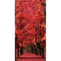 Quadro PASSEGGIATA D'AUTUNNO G4122 PINTDECOR