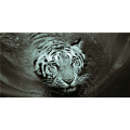 Quadro TIGRE G5952 PINTDECOR