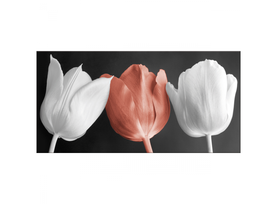 Quadro TULIPES G2520 PINTDECOR