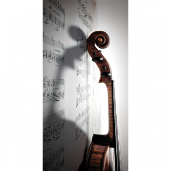 Quadro VIOLINO G1498 PINTDECOR