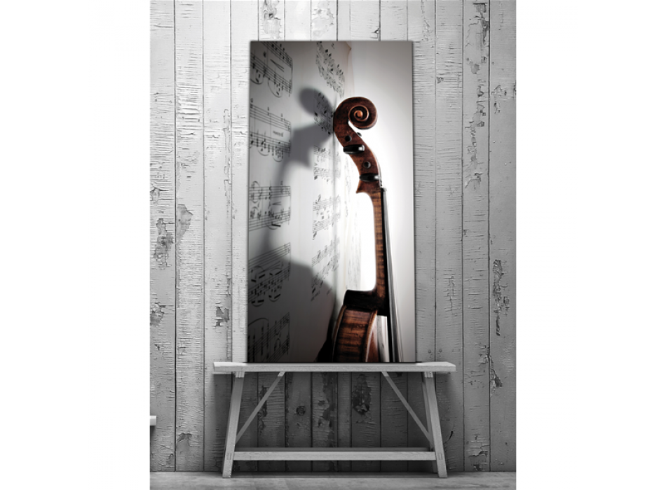 Quadro VIOLINO G1498 PINTDECOR