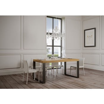 Tavolo Tecno Premium - Tavolo allungabile 90x160/420 cm Tecno Premium Bianco Frassino telaio Antracite