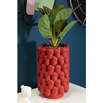 VASO STRAWBERRY